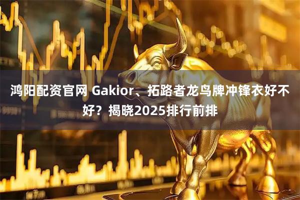 鸿阳配资官网 Gakior、拓路者龙鸟牌冲锋衣好不好？揭晓2025排行前排