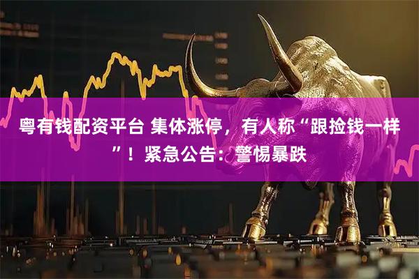 粤有钱配资平台 集体涨停，有人称“跟捡钱一样”！紧急公告：警惕暴跌